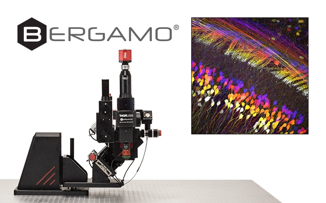 Thorlabs · Bergamo® III Series Multiphoton Microscopes