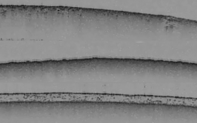 Thorlabs · 薬錠の構造の研究