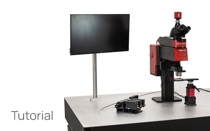 Thorlabs · Laser Scanning Microscopy Tutorial